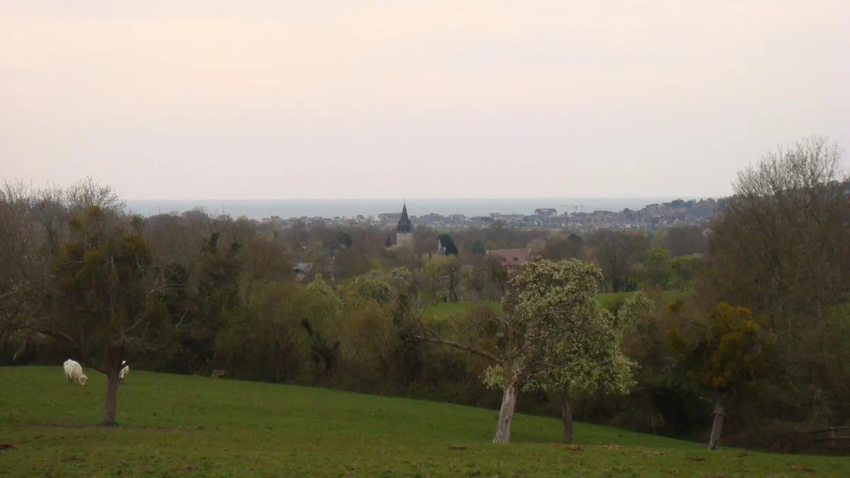 Blonville-sur-Mer — vue de la commune