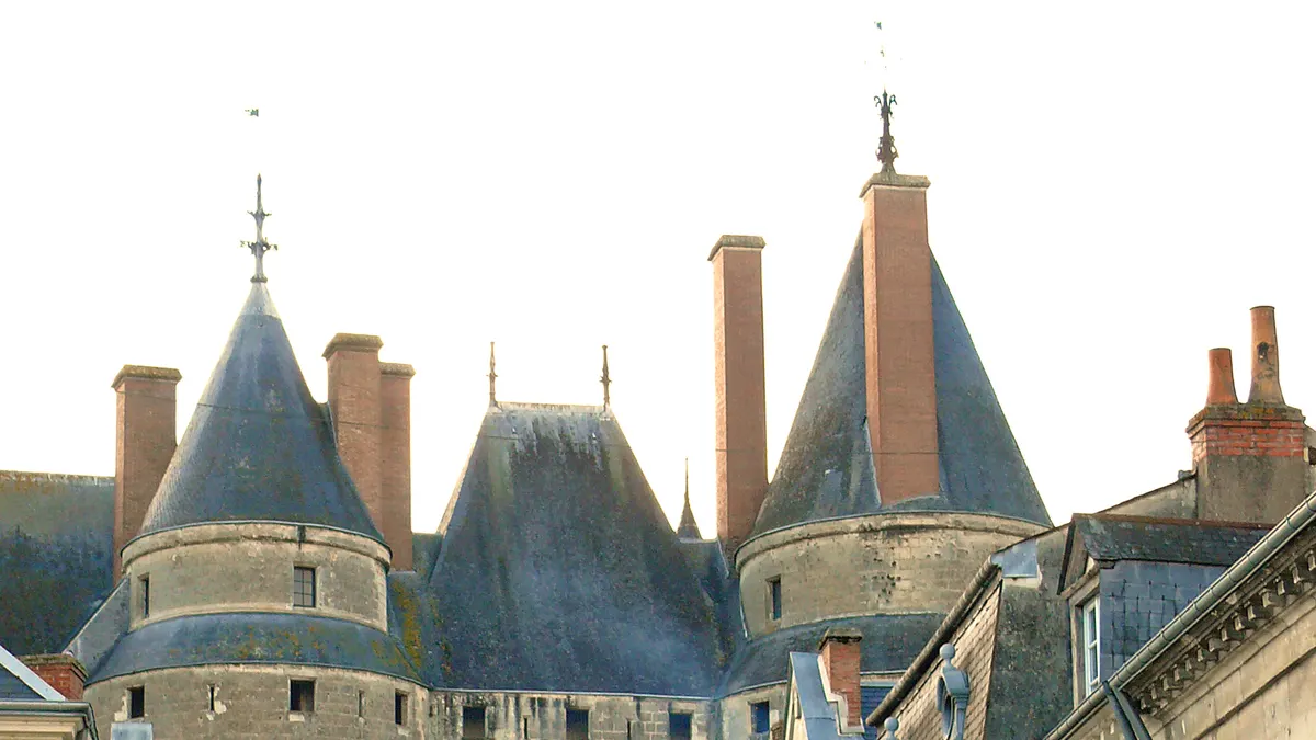 Langeais — vue de la commune