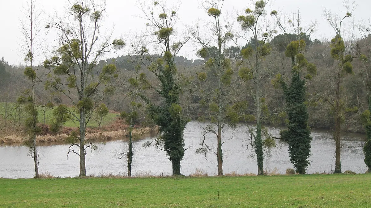 Muzillac — vue de la commune